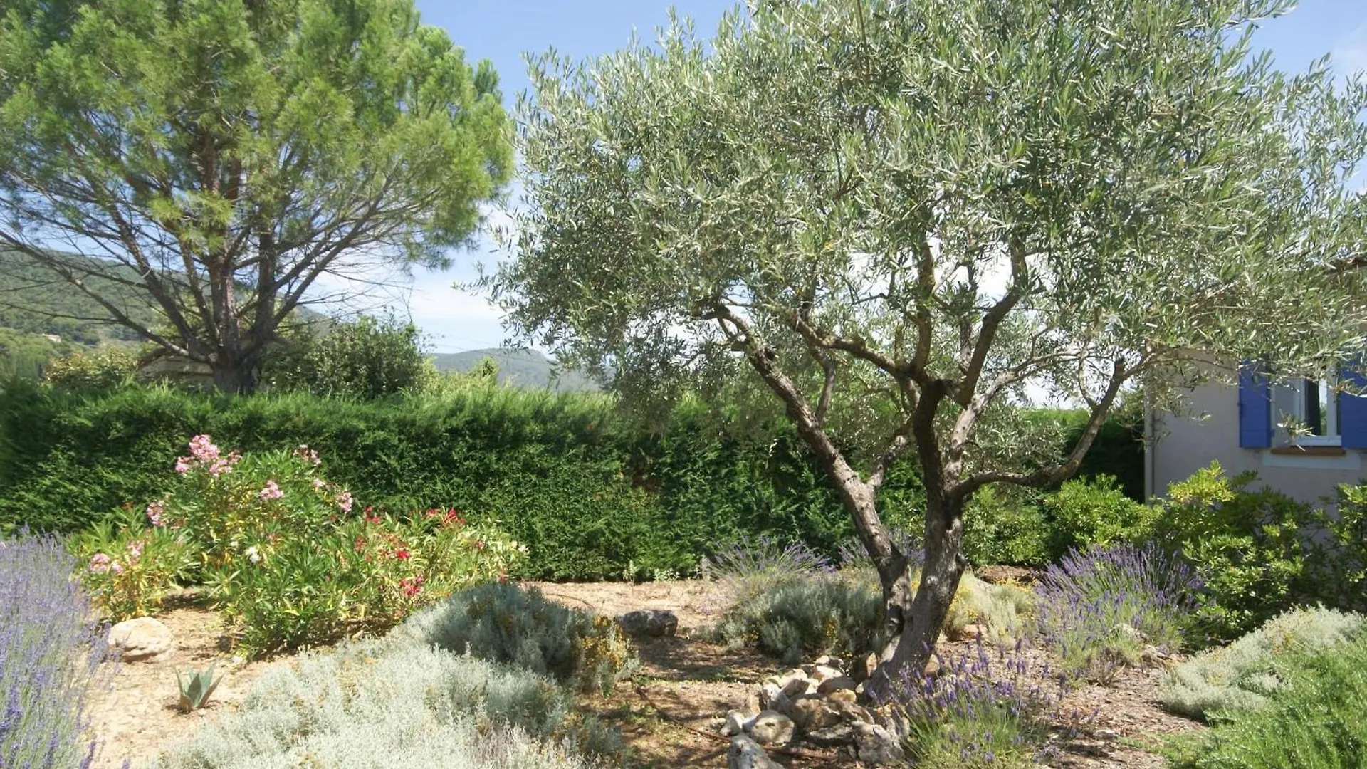La Petite Truffe Villa Aups
